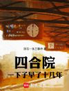 四合院,我娶了娄晓娥她妈