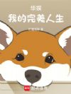 华娱:我的完美人生