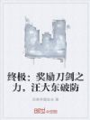 终极:奖励刀剑之力,汪大东破防